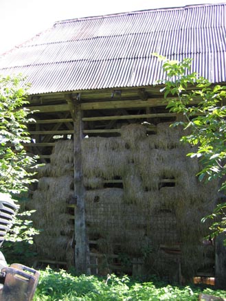 eika image